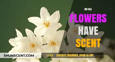Do All Flowers Have Scent? Unveiling the Fragrant Truth