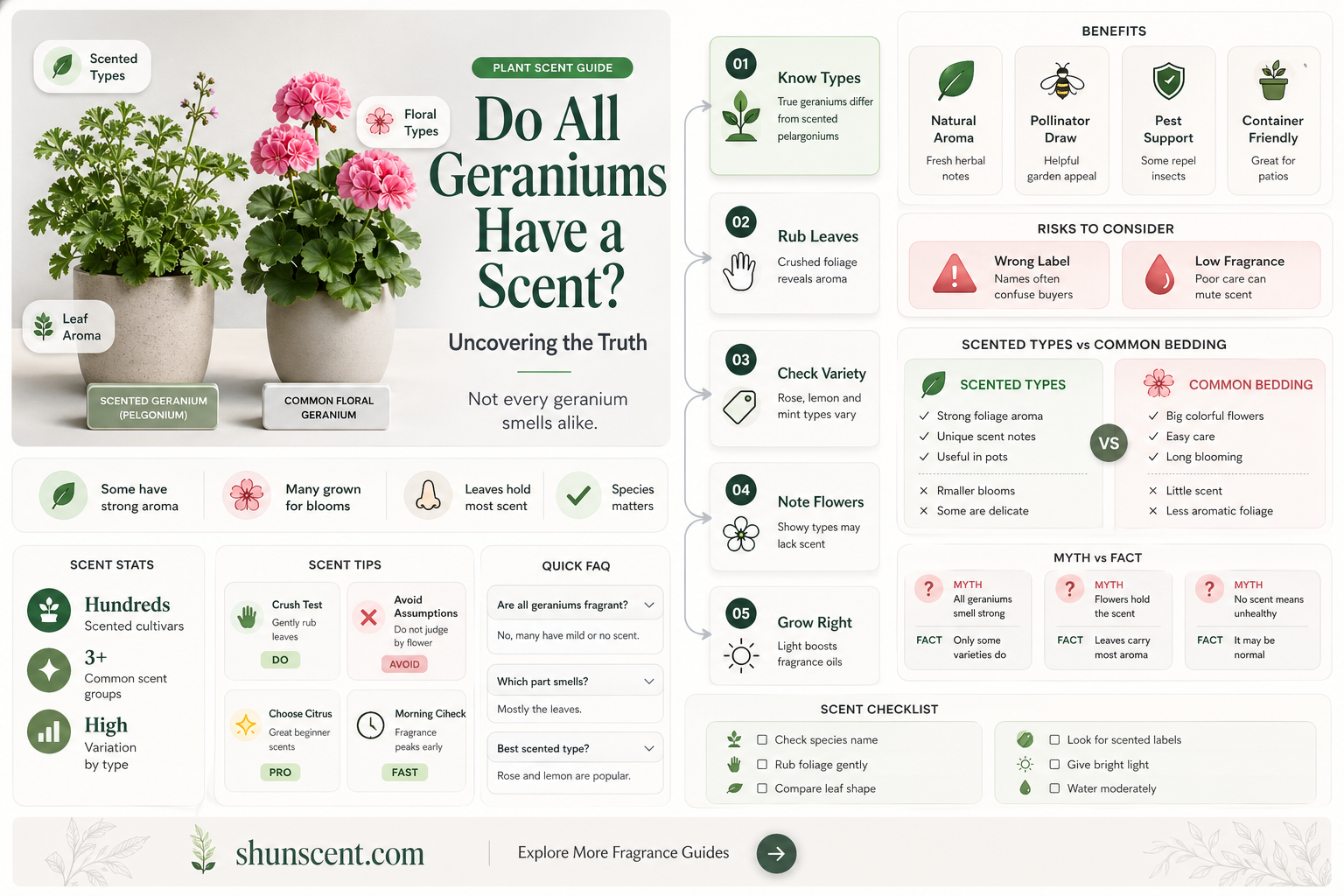 are all geraniums scented