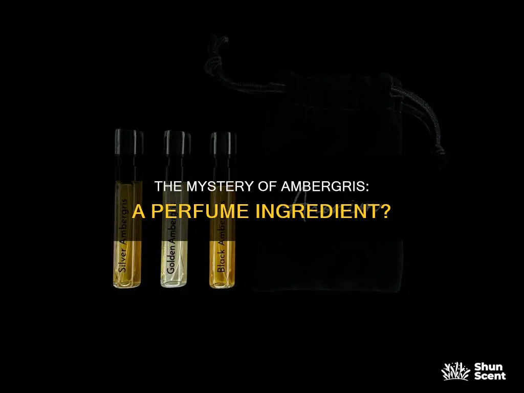 do all perfumes contain ambergris