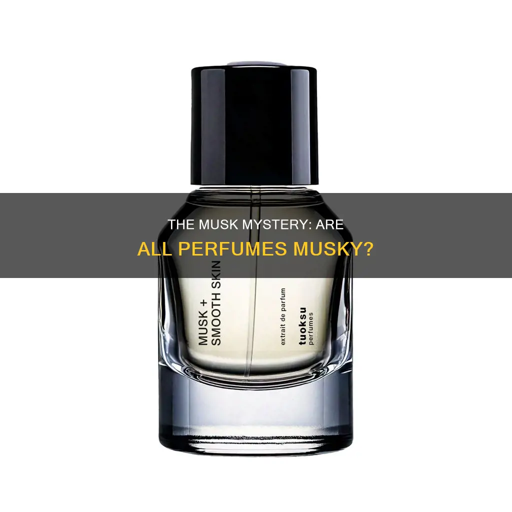 do all perfumes have musk