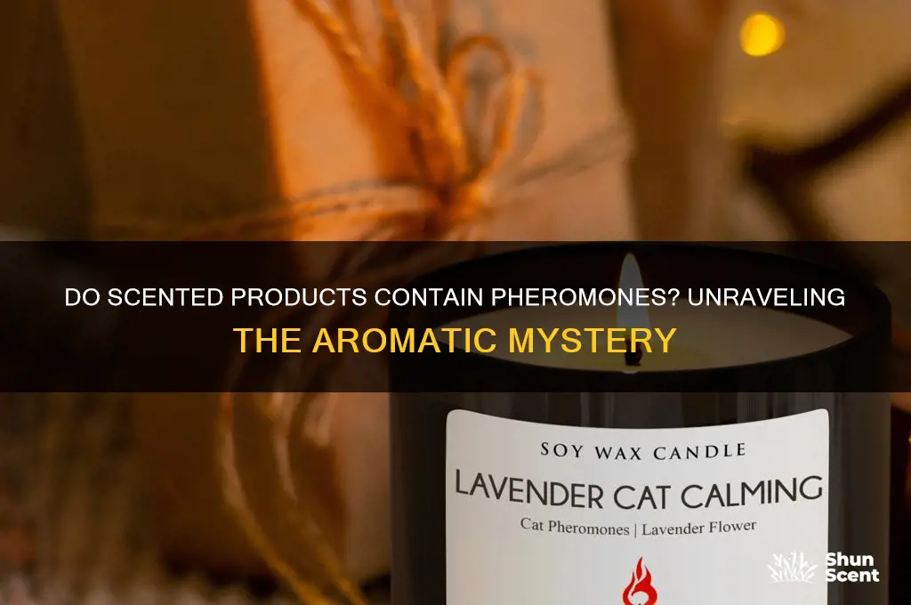 do all scented things have pheromones