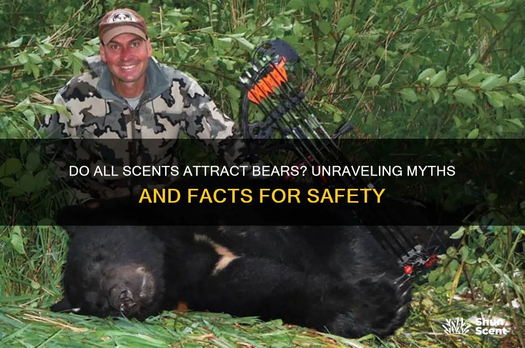 do all scents attract bears