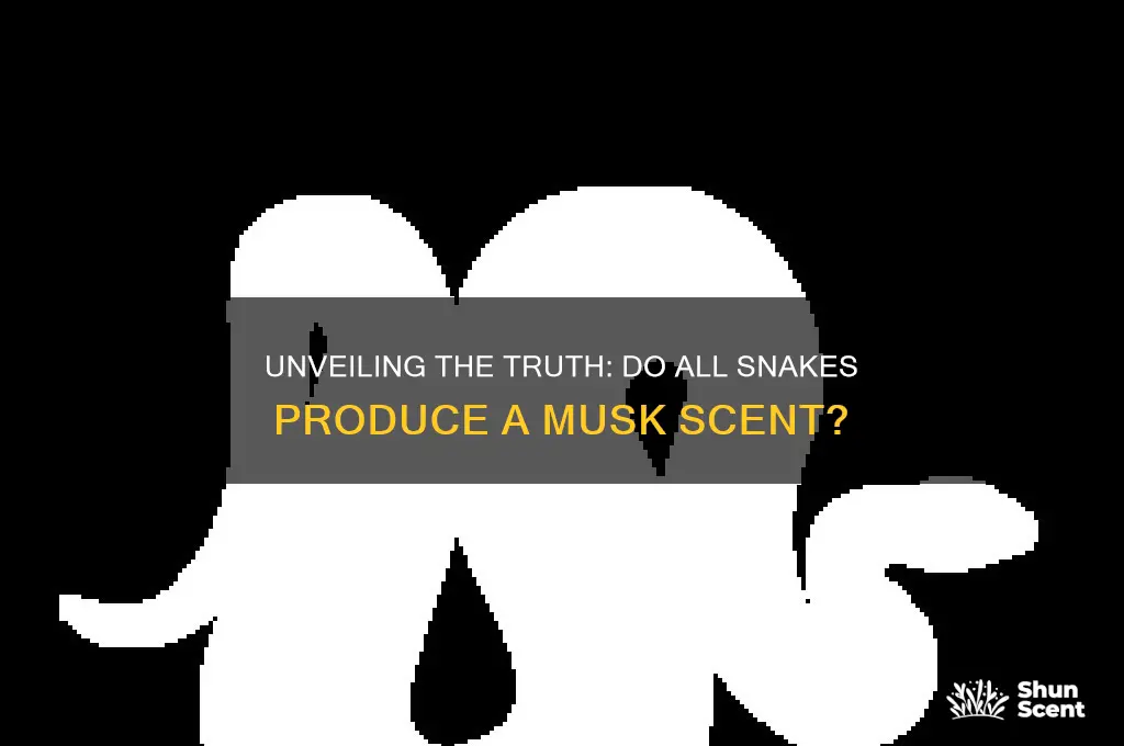 do all snakes have a musk scent