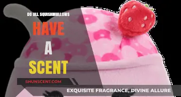 Do All Squishmallows Have a Scent? Uncovering the Truth