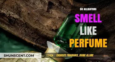 Alligators' Perfume: The Smell of Seduction or Stench?