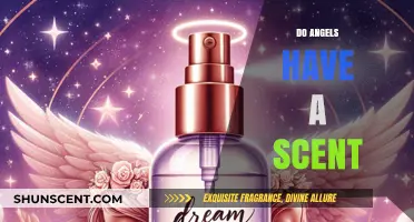 Do Angels Have a Scent? Exploring the Divine Fragrance Mystery