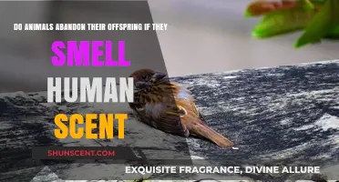 Human Scent Impact: Do Animals Abandon Offspring After Contact?