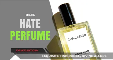 Ants and Perfume: A Fragrant Repellent?