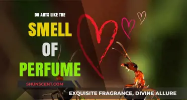 Ants and Perfume: Do Scents Attract or Repel?