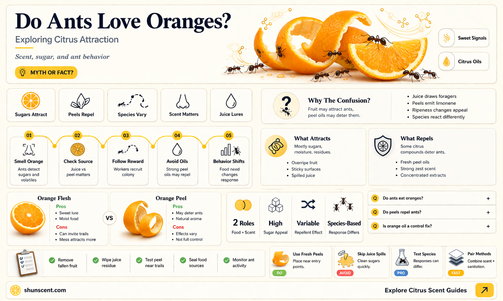 are ants attracted to an orange scent