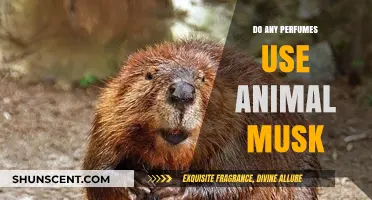 Animal Musk in Perfumes: What's the Deal?