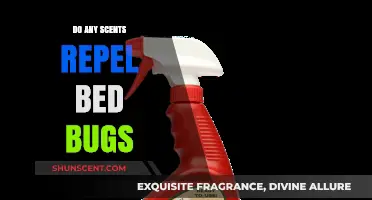 Scents to Keep Bed Bugs Away: Effective Repellents Revealed