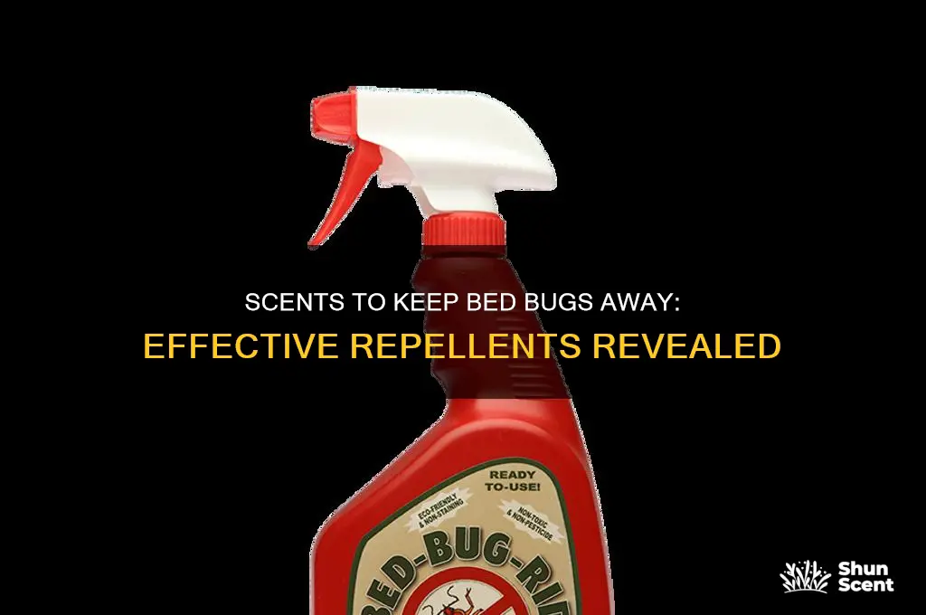 do any scents repel bed bugs