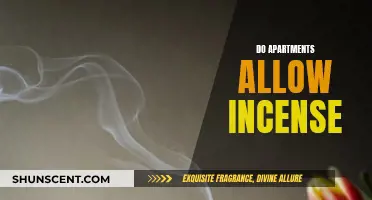 Incense Burning in Apartments: What You Need to Know