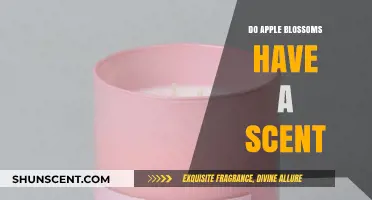 Do Apple Blossoms Smell? Unveiling the Scent of Spring's Beauty