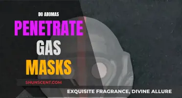 Aromas vs Gas Masks: Do Scents Penetrate?