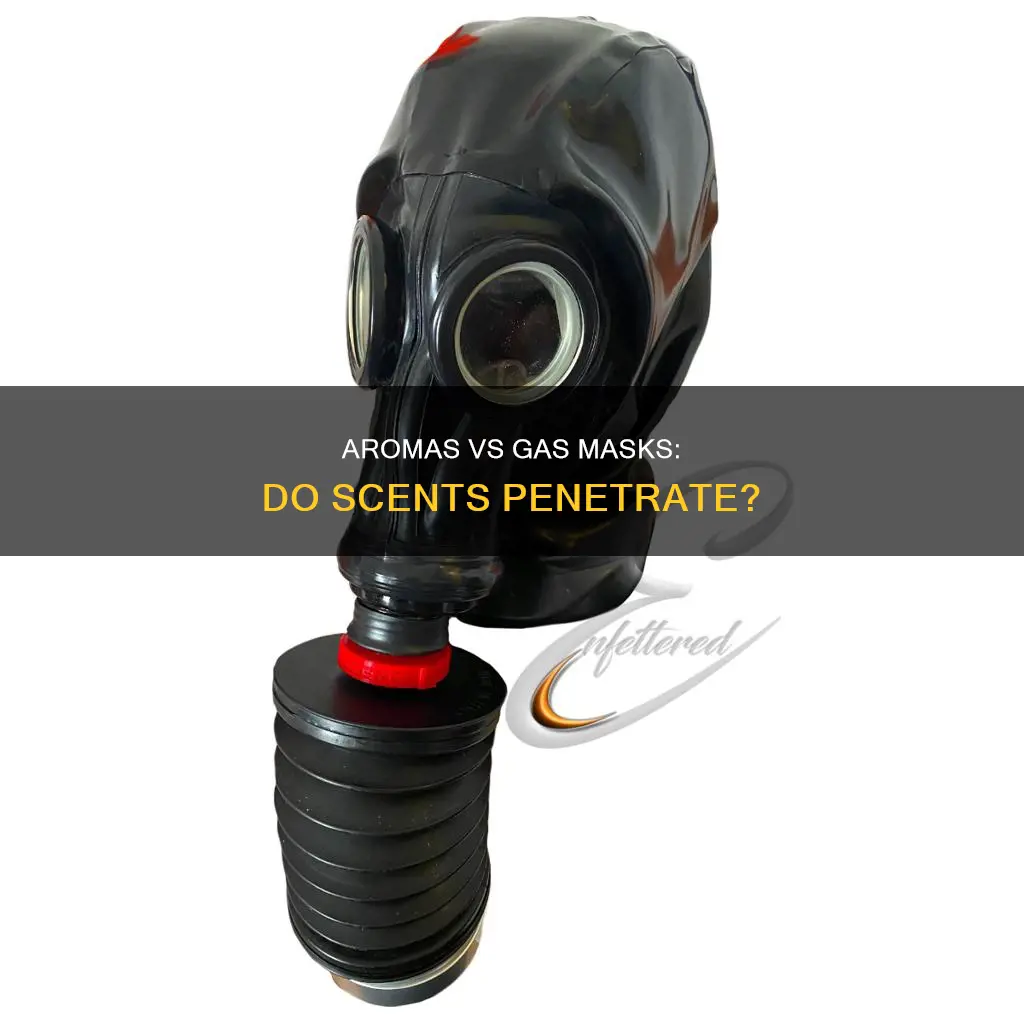 do aromas penetrate gas masks