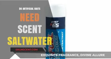 Enhancing Saltwater Fishing: Do Artificial Baits Require Added Scents?
