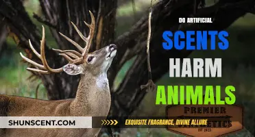 Artificial Scents: Unseen Dangers to Wildlife and Domestic Animals