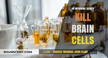 Artificial Scents and Brain Health: Separating Fact from Fiction