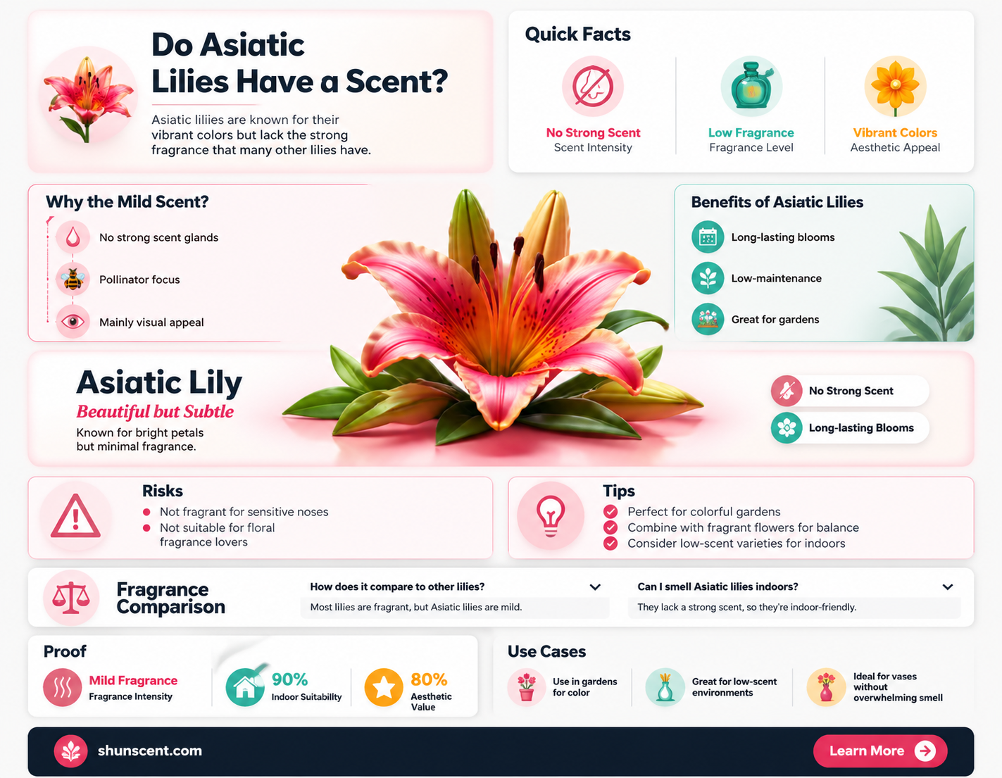 are asiatic lilies scented