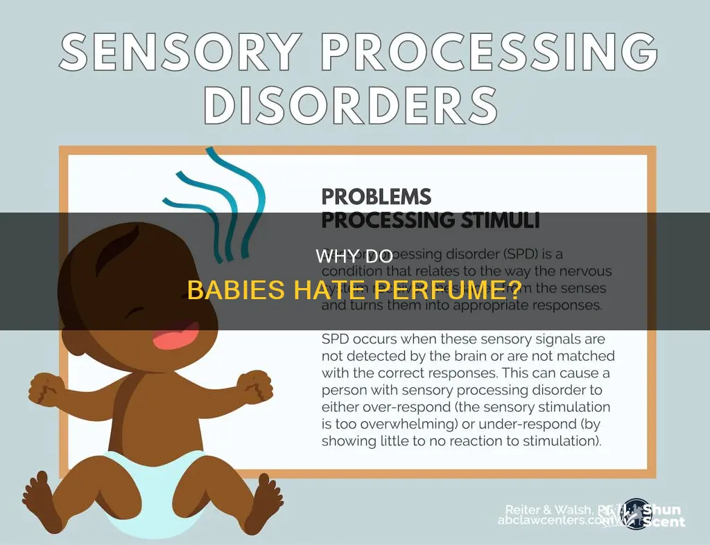 do babies hate perfume