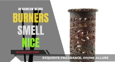 Backflow Incense Burners: Fragrant or Just Smoke and Mirrors?