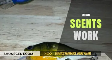 Do Bait Scents Really Work? Uncovering the Truth for Anglers