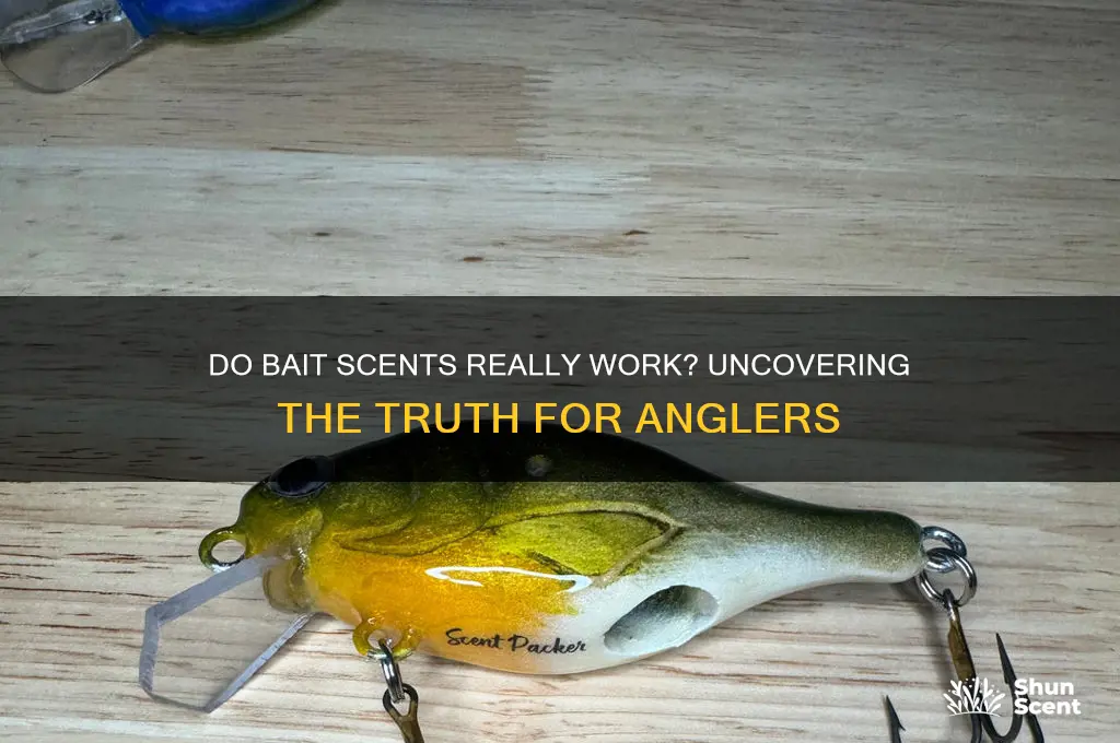 do bait scents work