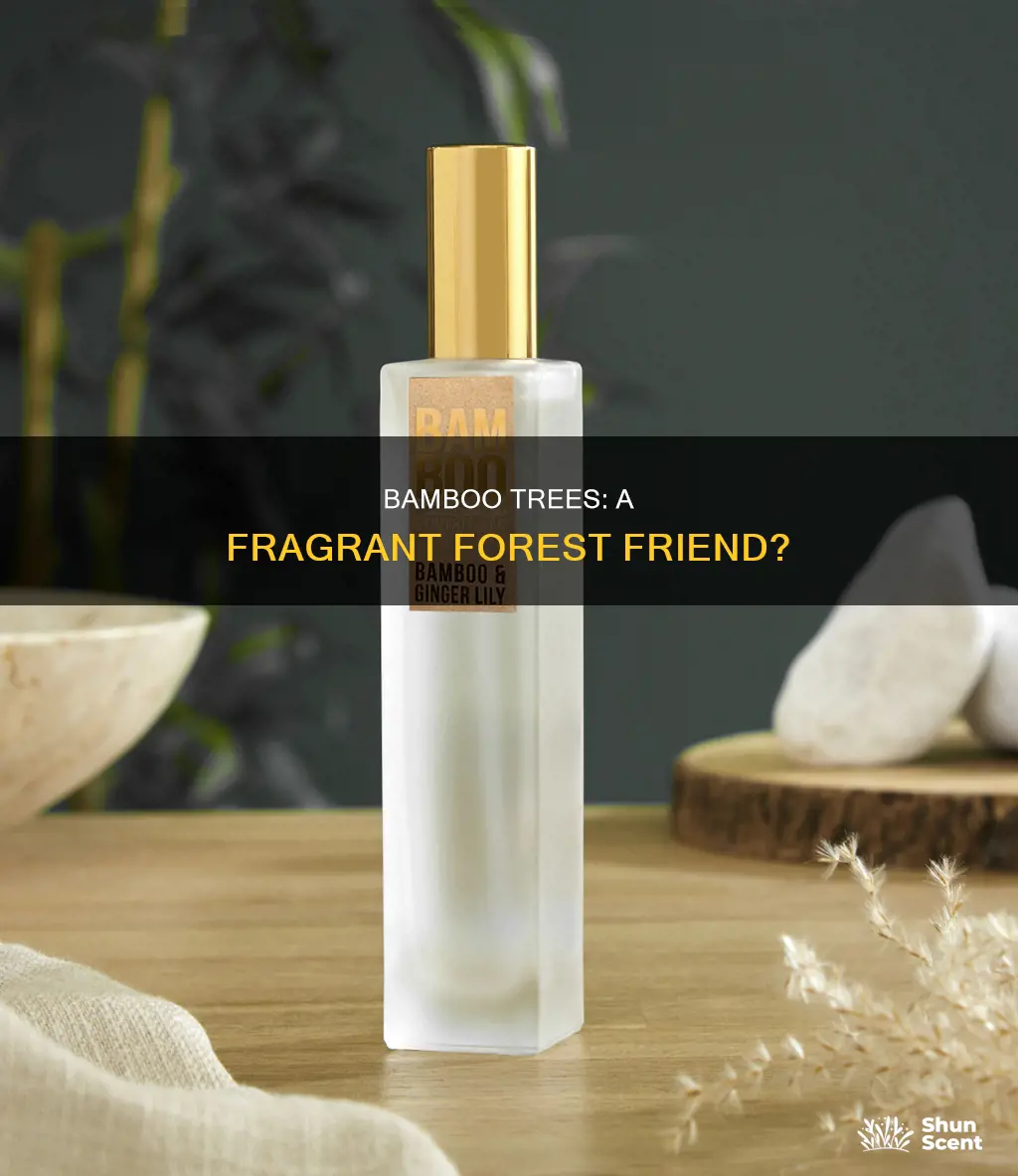 do bamboo tress have fragrance