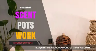 Do Banksia Scent Pots Work? Unveiling the Natural Aroma Hack