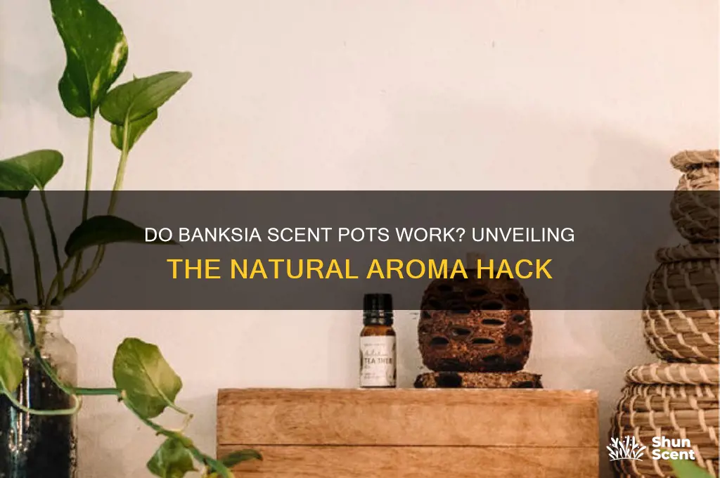 do banksia scent pots work