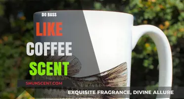 Does Coffee Scent Attract Bass? Unveiling the Truth for Anglers