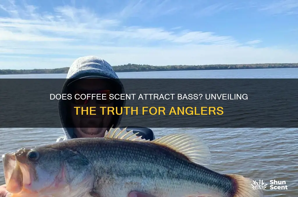 do bass like coffee scent