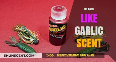 Does Garlic Scent Attract Bass? Uncovering the Truth for Anglers