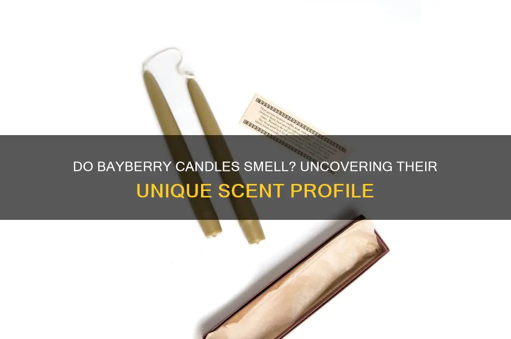 do bayberry candles have a scent