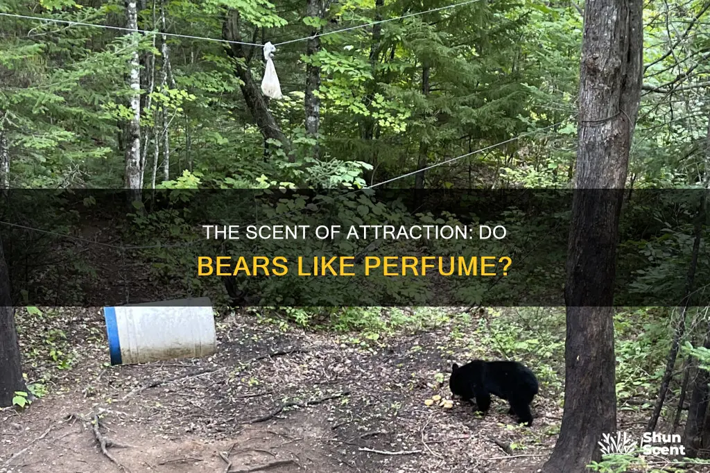 do bears like perfume