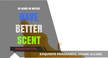 Bears vs. Wolves: Unraveling the Superior Scent Detection Champion