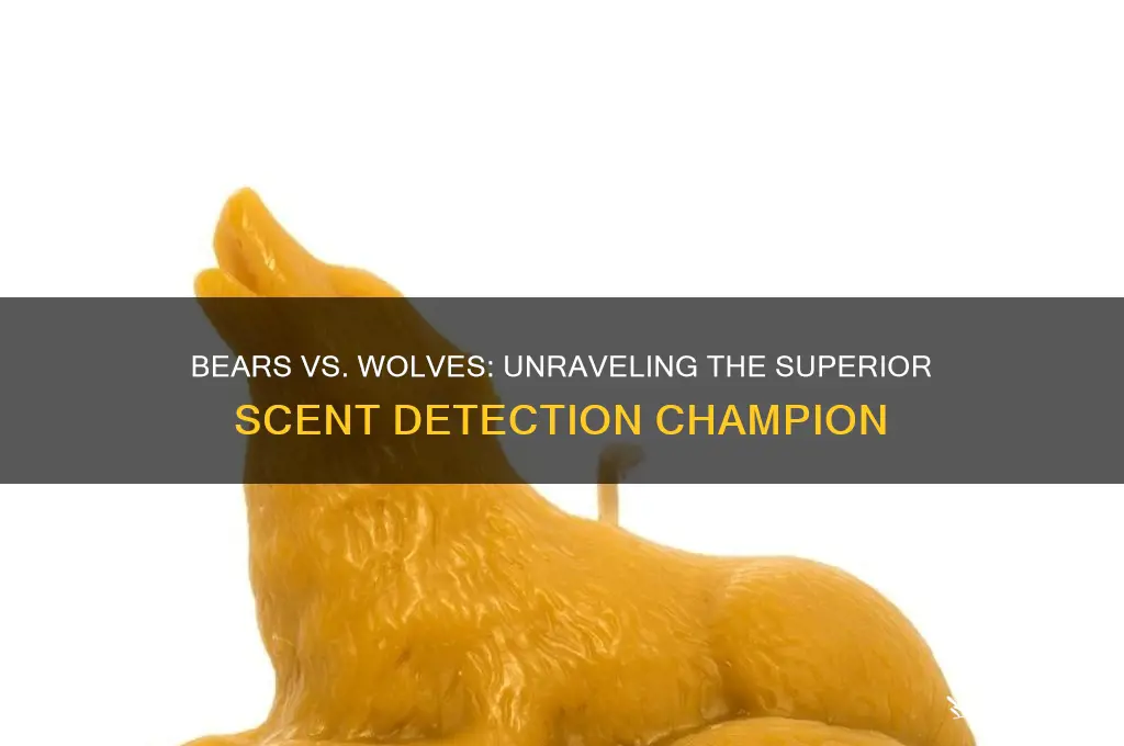 do bears or wolves have better scent