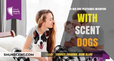 Can Bed Bug Pesticides Disrupt Scent Detection in Trained Dogs?