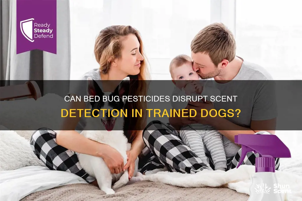 do bed bug pesticides interfere with scent dogs