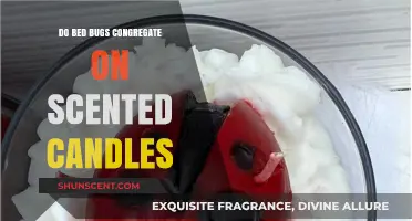 Scented Candles and Bed Bugs: Do Fragrances Attract or Repel?