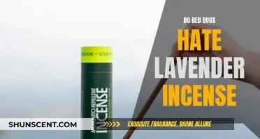 Lavender Incense: Bed Bugs' Worst Nightmare