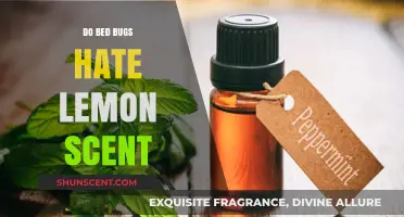 Can Lemon Scent Repel Bed Bugs? Uncover the Truth Here