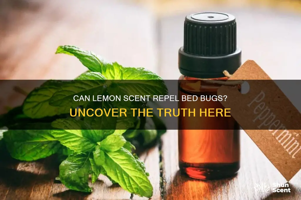 do bed bugs hate lemon scent