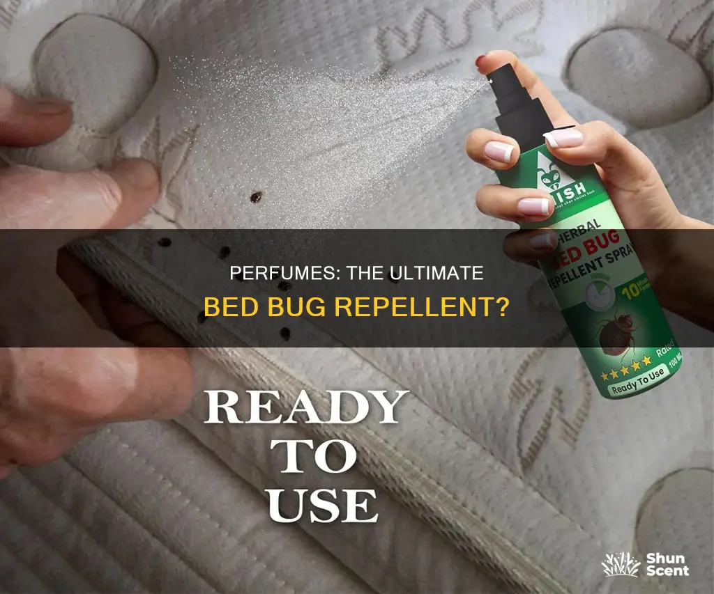 do bed bugs hate perfume