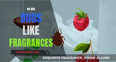 Fragrances and Bed Bugs: Friends or Foes?