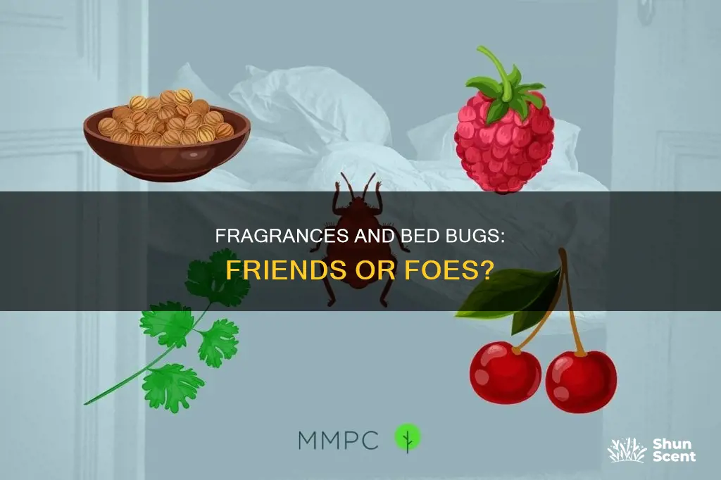 do bed bugs like fragrances