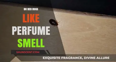 Bed Bugs and Perfume: A Fragrant Attraction?