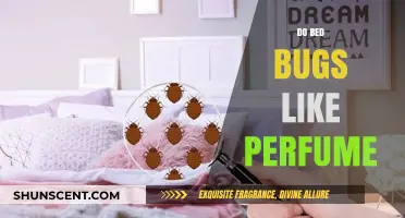 Bed Bugs and Perfume: A Fragrant Attraction?